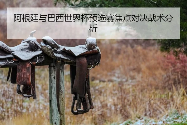 阿根廷与巴西世界杯预选赛焦点对决战术分析