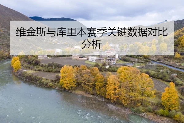 维金斯与库里本赛季关键数据对比分析
