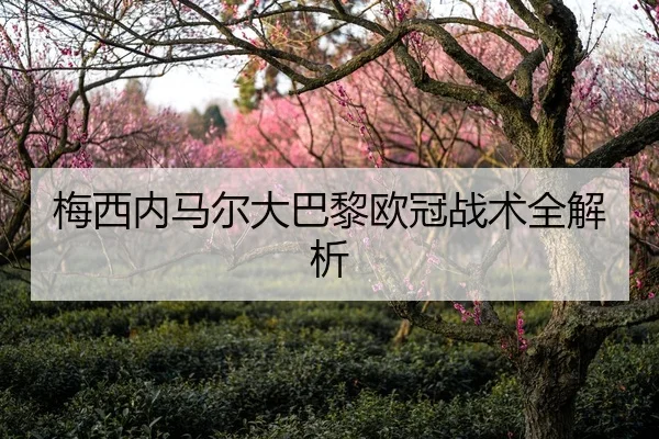 梅西内马尔大巴黎欧冠战术全解析